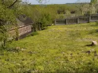 Лагуна в реки Березина, Свислочь ул. Березинская 3, фотография 4
