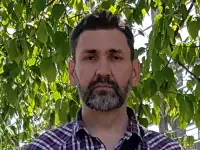 Куплю или возьму в аренду землю, область, фотография 2