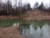 Участок кфх под Гродно для агроэкотуризма или сх, фотография 4