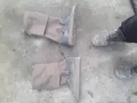 Ичики охотничьи.