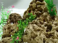 Грунт для аквариума, фотография 4