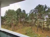 Продам квартиру с хорошим ремонтом в центре благоустроенного поселка Чисть, фотография 7