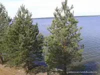 Дом у озера, Крупский район, Холопеничский сельский Совет, д. Мелешковичи, ул.Озерная,12А, фотография 2
