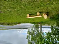 Дом на озере Свирь, фотография 3
