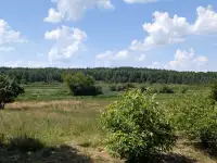 Хутор у озера и леса, деревня Заболотники, Синявский сельсовет, район, Минская область, фотография 5