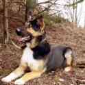ТАЙРА СРОЧНО ИЩЕТ ДОМ !!!, фотография 4