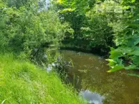Дом, Деревня Головли, гроднен. Область, дятловский р-н, фотография 6