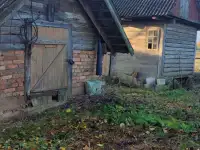 Продам дом, Деревня Лешня района Минская область, фотография 3