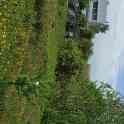 Земельный участок с домом, фотография 9