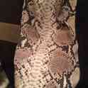 Продам платье zara р р 42 44, фотография 2