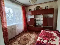 Двухэтажная квартира в гп.Дрибин, фотография 9