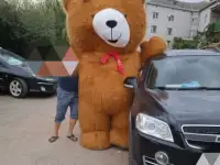 Костюм медведя, фотография 3
