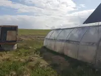 Продам сдам в аренду участок с домом в 14 км от Витебска, фотография 5