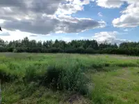 Дом в 10 км.от Сморгони, фотография 7