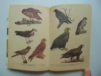 Они не должны исчезнуть. Животные, Растения, Минск, Народная Асвета,1987 год, Дорофеева, Сюборова, фотография 7