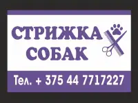 стрижка собак