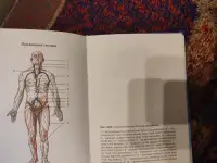 Учебник по анатомии и физиологии для медицинских вузов, фотография 2