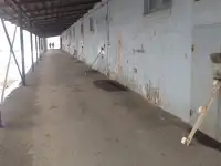 Складские и офисные помещения в ареду, ул.Станция Луполово, 6А, фотография 2