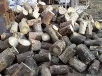 Дрова колодкамирубленые, обрезки, фотография 2