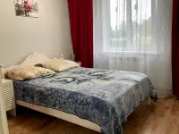 Дом на берегу озера Сказка 55, фотография 7