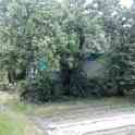 Участок с домом д.Бабий лес, фотография 6