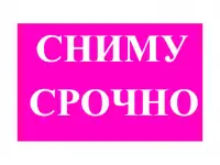 Серьёзная порядочная семья из двух человек без детей, животных и вредных привычек.