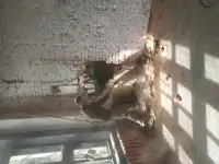 Услуги прораба, фотография 12