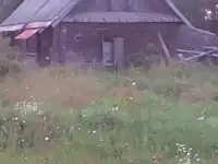 продам участок с домом в а.г. Черейщина Лепельский район, фотография 9