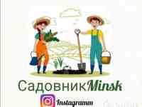 Уход за растениями. Благоустройство клумб