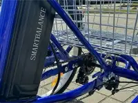 Трехколесный электровелосипед smartbalance fermer, фотография 5