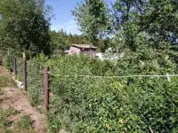 Продам дом в агрогородке Люденевичи Житковичского района Гомельской области, фотография 6