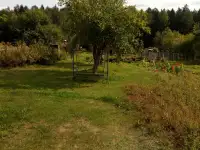 Участок- дача в живописном месте в Столбцовском районе, фотография 3