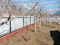 Садовник, фотография 4