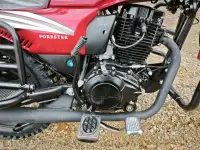 Мотоцикл Motoland FORESTER 200, фотография 6