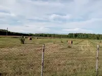 Продам фермерское хозяйство, фундук, фотография 7