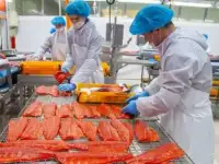 Обработчик, укладчик, фасовщик рыбы г.Минск с проживанием