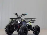 Электроквадроцикл storm evo, фотография 2