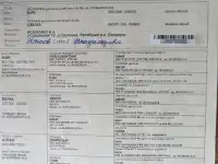 Продам щенков ЗСЛ, фотография 5