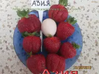 САЖЕНЦЫ КЛУБНИКИ - 50 сортов  - купить в Москве и Смоленске  СПБ, фотография 10