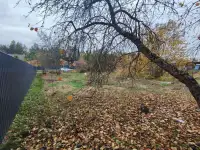 СТ Подлесное .Участок 10 сот, 28 км от Минска, фотография 2