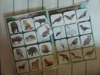 Лэпбук 