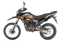 Мотоцикл Regulmoto TE PR 300cc, фотография 5