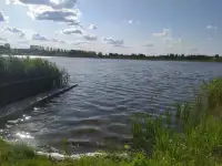 прекрасный участок на берегу озера Городно, Озёрная ул, 13, деревня Городнянский Мох, Новкинский сельсовет, район,, фотография 10