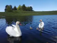 Агроусадьба 