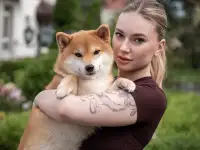 Щенки Сиба Ину, фотография 3