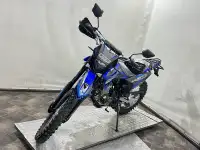 Мотоцикл Regulmoto Sport-003 PR 300, фотография 9