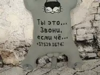 Кот в машину с номером телефона, фотография 2