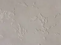 Декоративная штукатурка, фотография 9