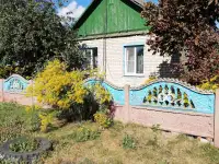 Дом  кирпичный
