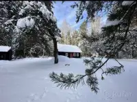 Деревянный дом в лесу на участке 0,5 Га., фотография 5